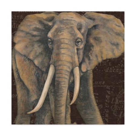 Naomi Mcbride 'Grand Elephant Traveller Crop' Canvas Art,14x14